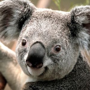 Meet your Posher, Lynda